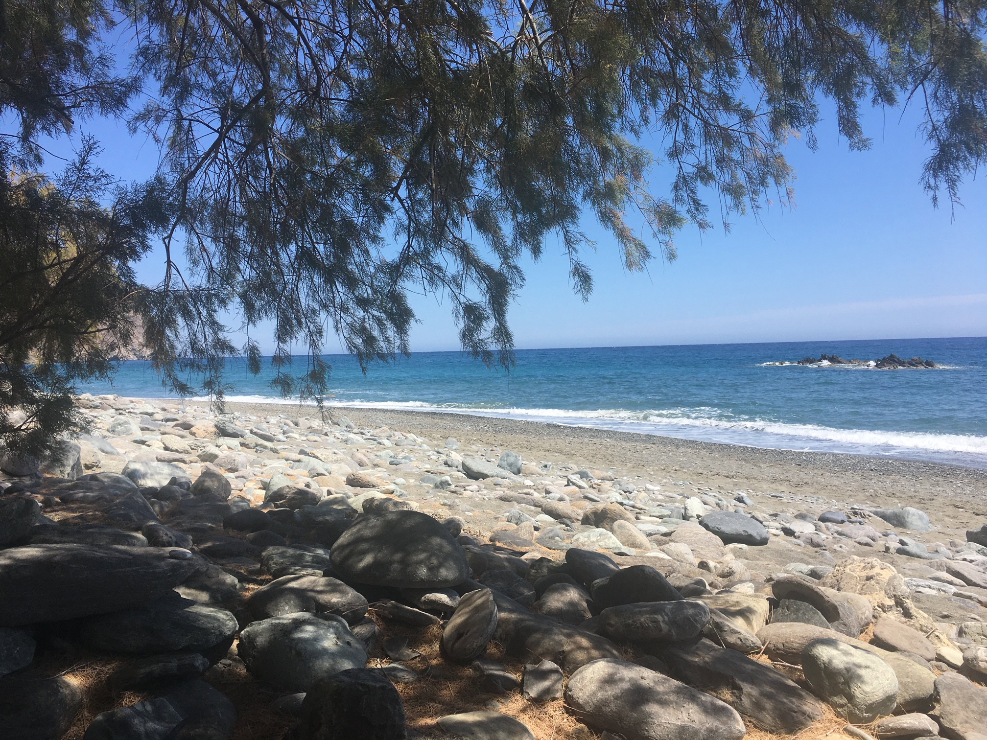 EBT -Energetische Balance Technik